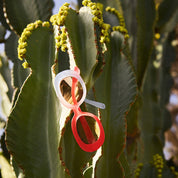 Occhiali da sole