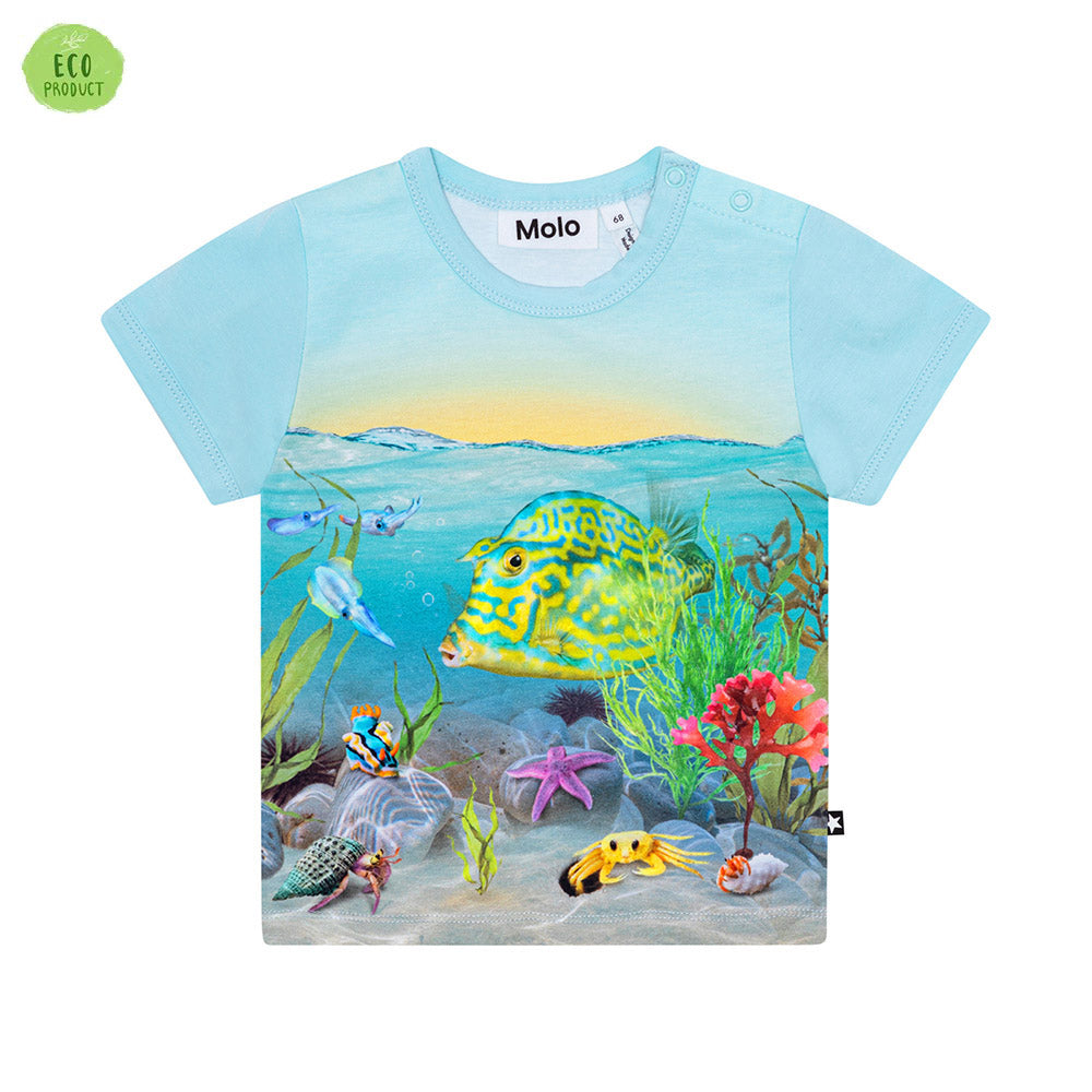 T-shirt pesci