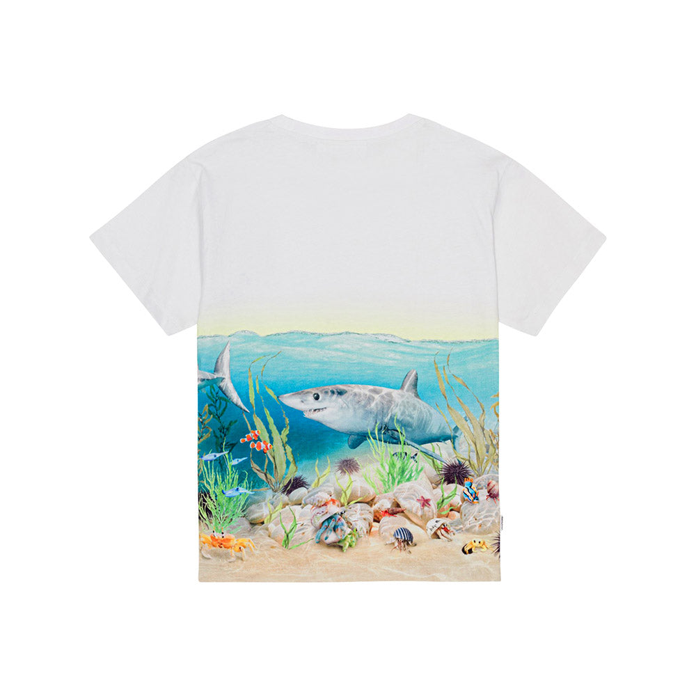 T-shirt squalo